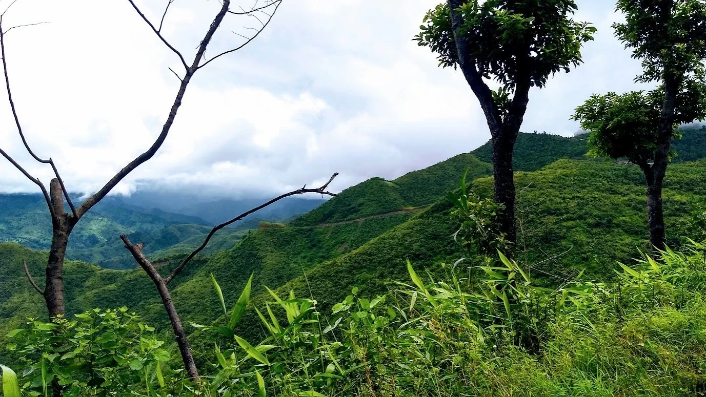 শীতল সবুজ মংগোলিয়ান উপত্যকায় এক আকাশ চঞ্চলতা!