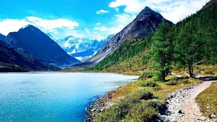 ট্যানের অবাধ্য ছুটে চলা