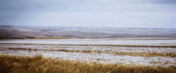 কবিজের দেশ, ধুসর মহাপ্রান্তরের কাজাখস্তানে ট্যানের আগমন...