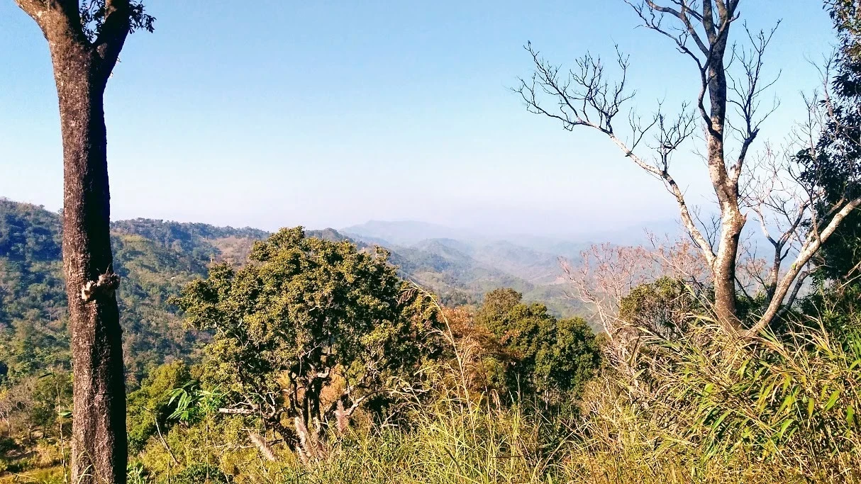 পাহাড়ে হৃদয়ে হতোদ্যমঃ ট্যানের প্রথম পাহাড় দেখা