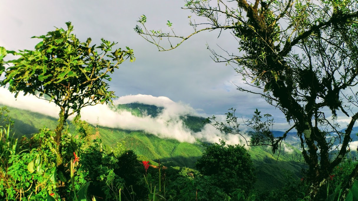 নাগাল্যান্ডের দিনগুলো